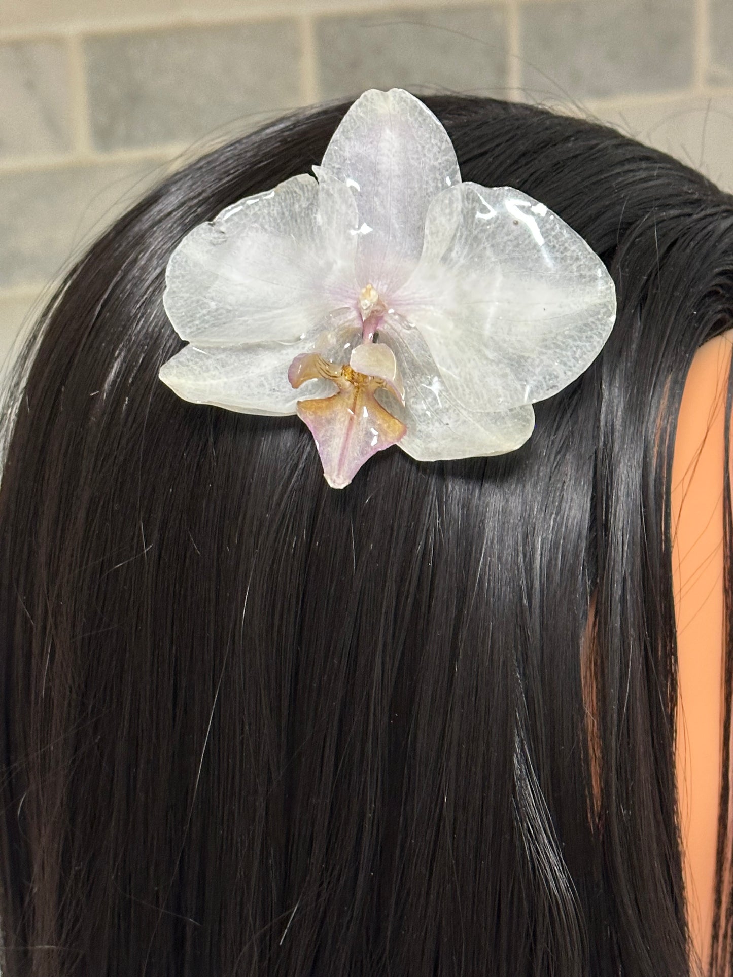 cute real orchid flower hair clip