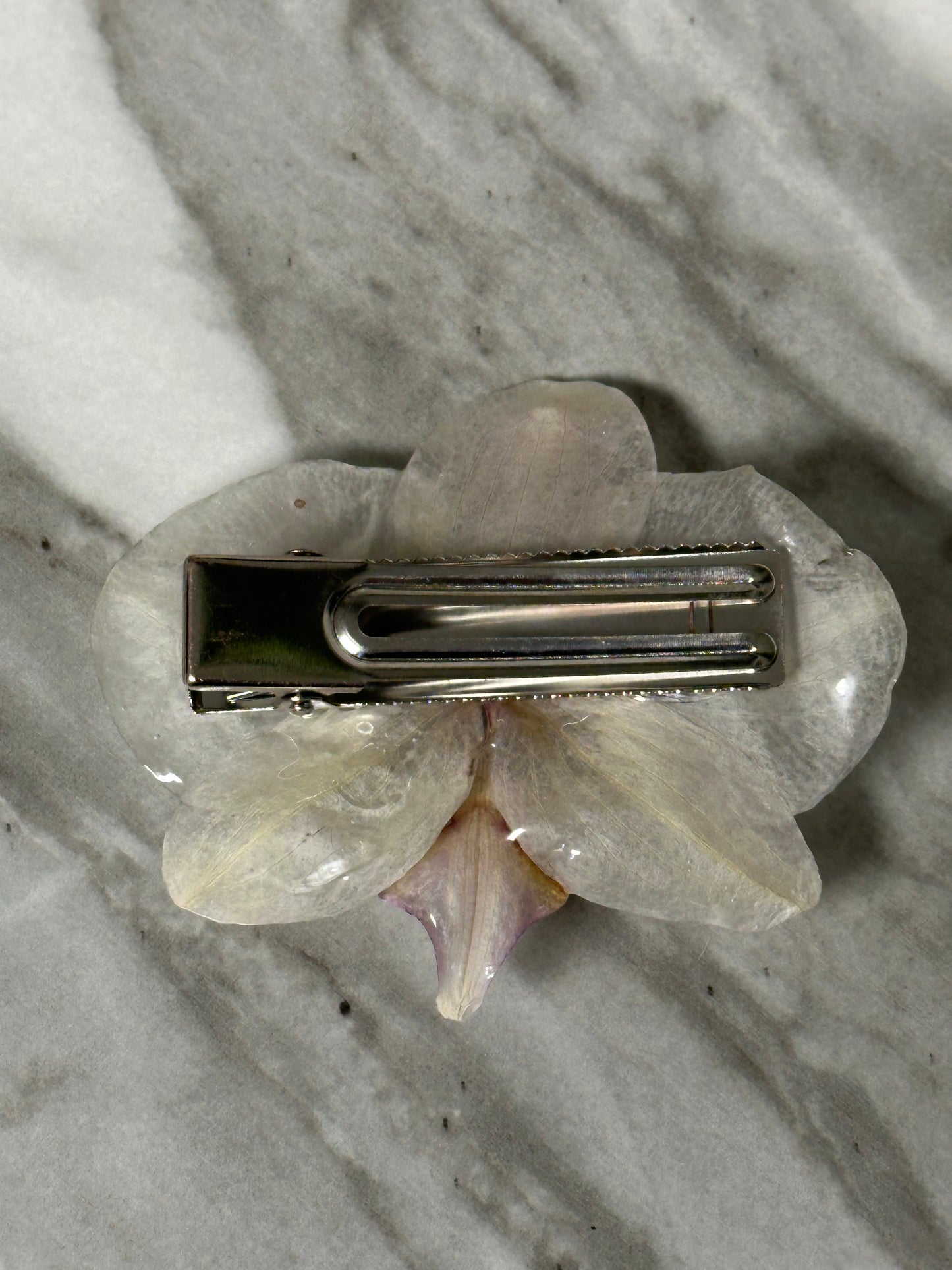 cute real orchid flower hair clip