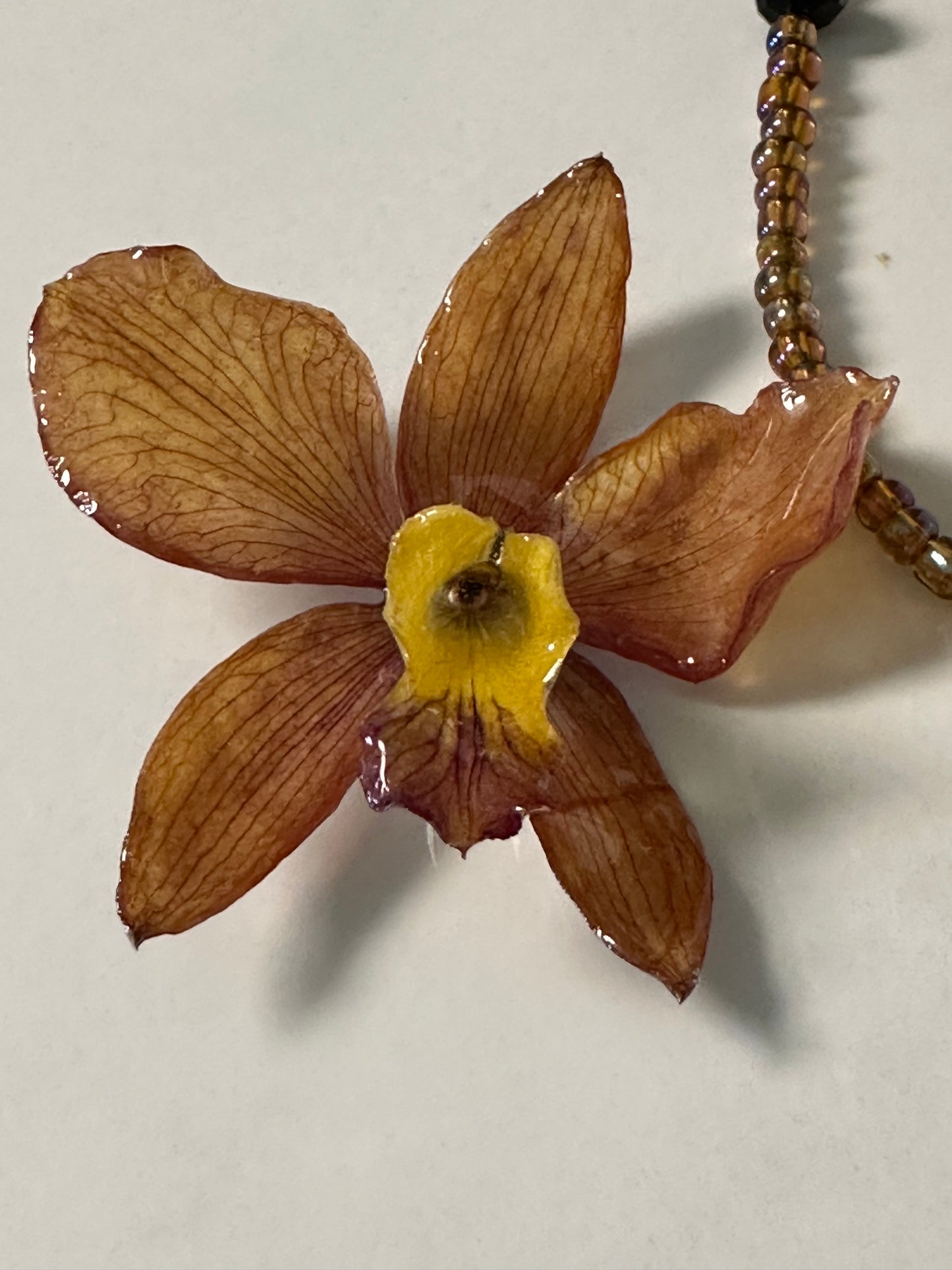 cattleya necklace with earrings