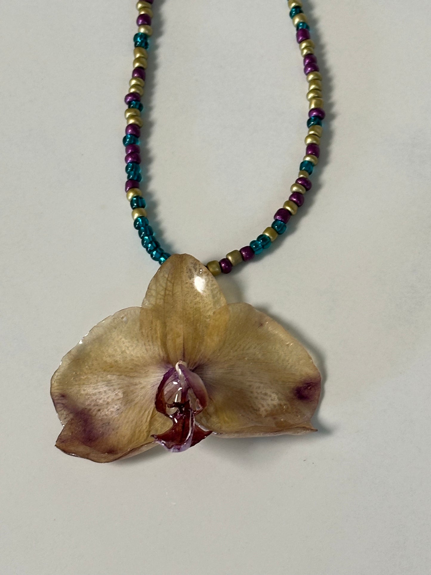 phalaenopsis orchid necklace