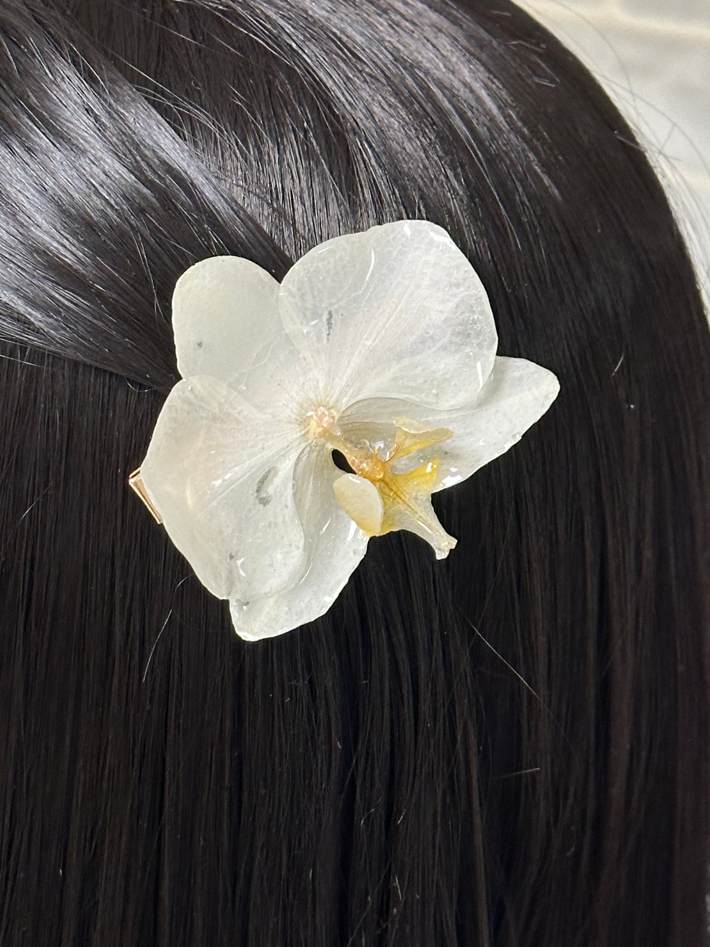 cute real orchid flower hair clip