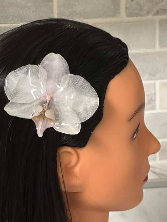 cute real orchid flower hair clip